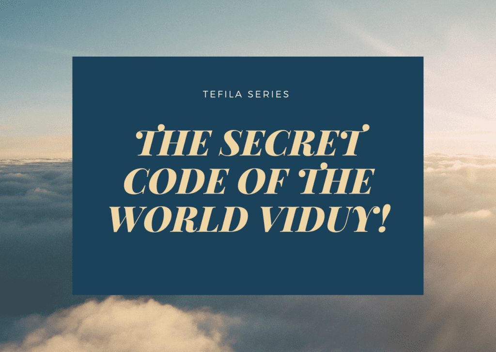 The Secret code of the world Viduy!