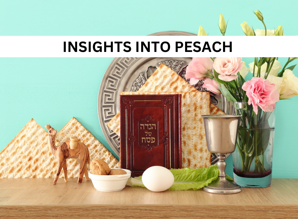 Insights into Pesach By Raaya Tawil
