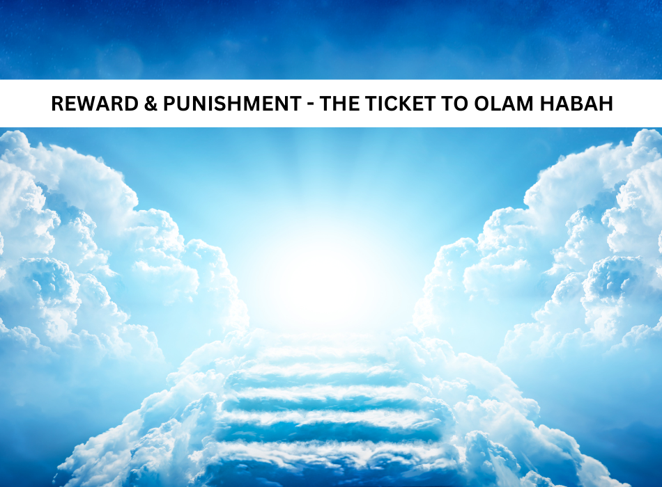 Reward and Punishment- The Ticket to Olam Habah