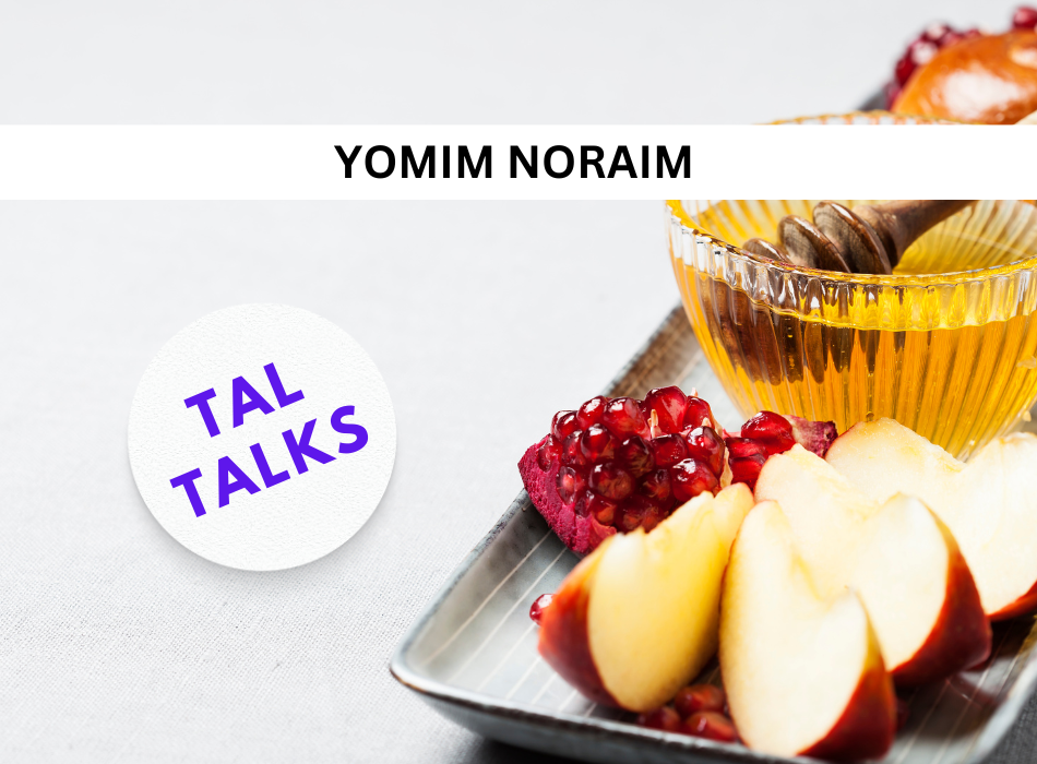 Yamin Noraim - TAL Talks